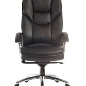 Skyline Ergonomic Office Chair